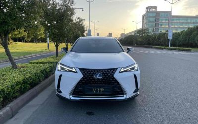r1018435-lexus-ux-ev-2021_0