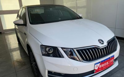 r1019027-skoda-octavia-2019_0