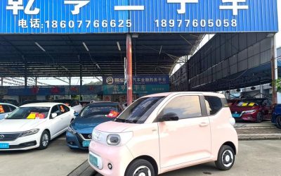 r1019096-wuling-hongguang-mini-ev-2024_0