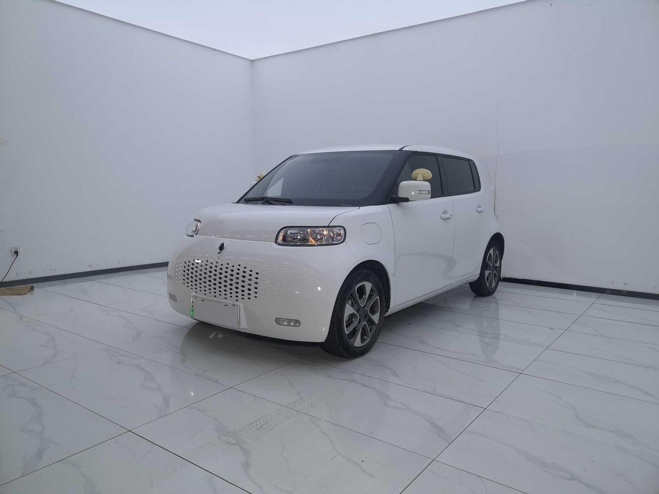 r1019393-ora-white-cat-2021_0