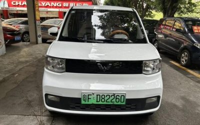 r1019586-wuling-hongguang-mini-ev-2020_0