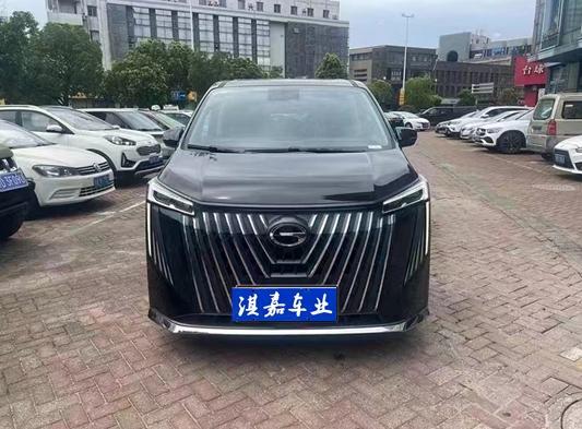 r1019859-trumpchi-m8-2024_0