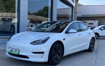r1019961-tesla-model-3-2021_0