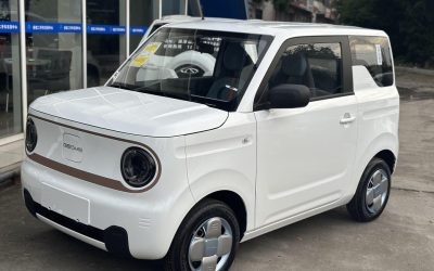 r1020149-geely-panda-2024_0
