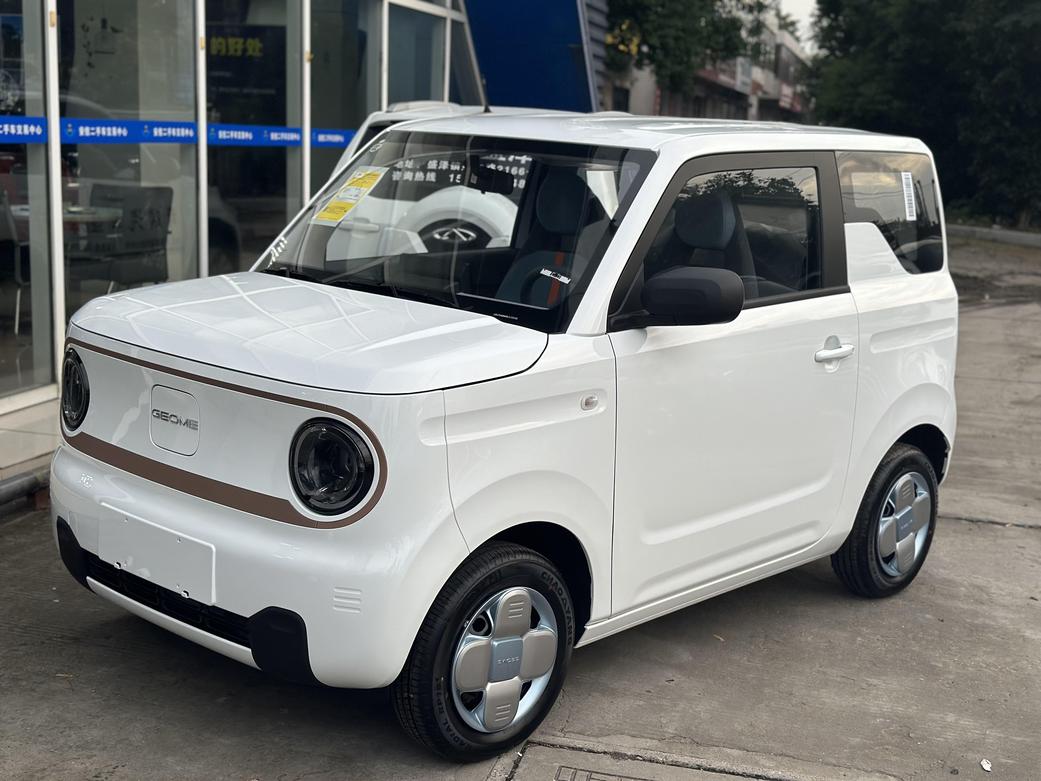 r1020149-geely-panda-2024_0
