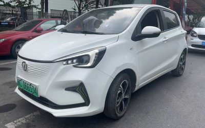 r1020160-changan-oshan-benben-e-star-2021_0