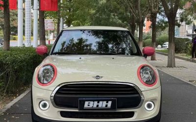 r1020264-mini-2019_0