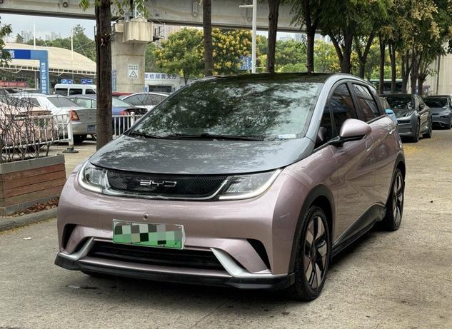 r1020402-byd-dolphin-2022_0