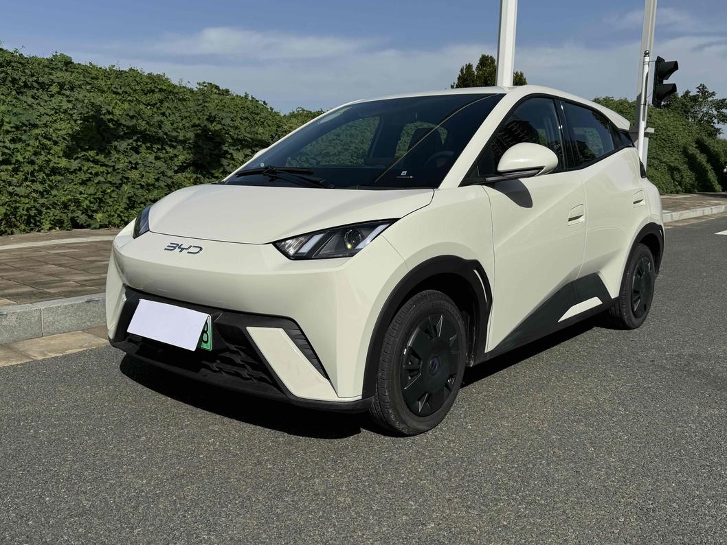 r1020470-byd-seagull-2024_0