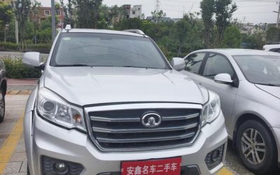 r1020567-great-wall-wingle-6-2017_0