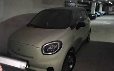 r1020746-leapmotor-t03-2021_0