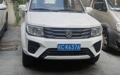 r1020763-dongfeng-ruiqi-2021_0