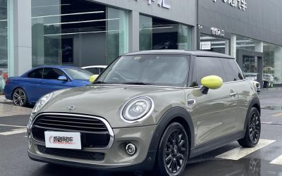 r1021157-mini-2020_0