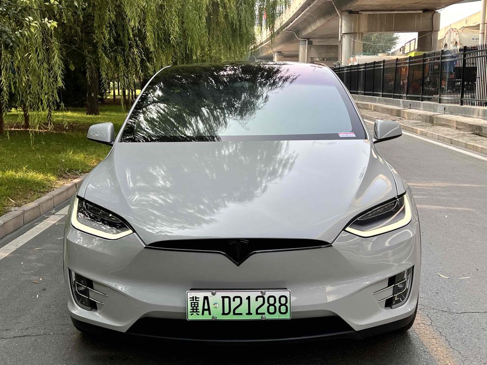 r1021209-tesla-model-x-2019_0