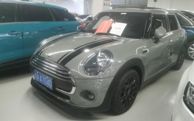 r1021259-mini-2020_0
