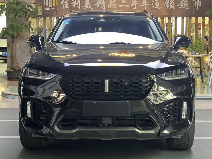 r1021346-wey-vv7-2019_0