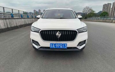 r1021479-borgward-bx5-2019_0