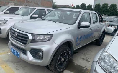 r1021616-great-wall-wingle-7-2020_0
