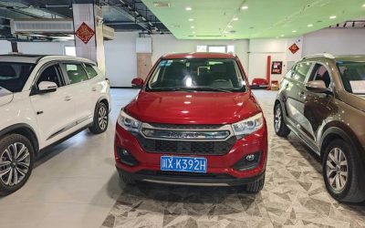 r1021638-lifan-maiwei-2018_0