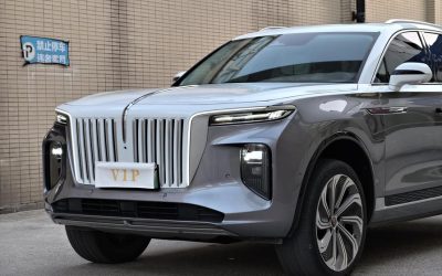 r1021702-hongqi-e-hs9-2021_0
