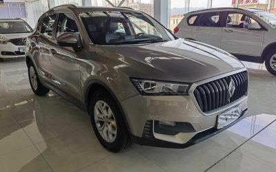 r1022010-borgward-bx5-2019_0