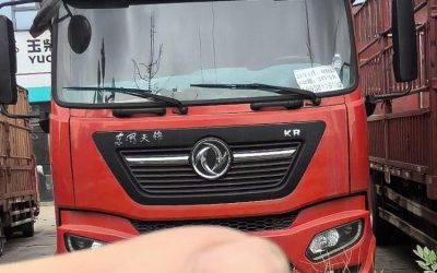 r204953-dongfeng-tianjin-2021_1