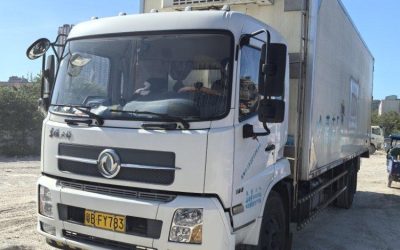 r204970-dongfeng-tianjin-2017_1