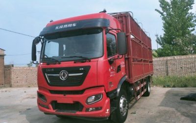 r205164-dongfeng-tianjin-kr-2023_1