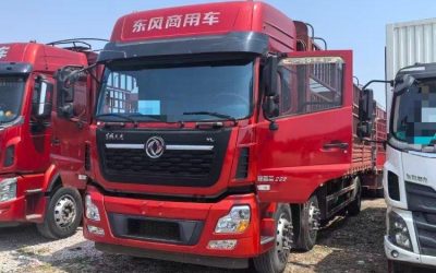 r205565-dongfeng-tianlong-vl-2021_1