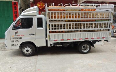 r206518-xiangling-m-pro-2025_1
