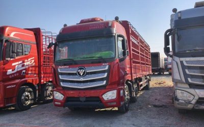 r207782-foton-auman-est-2020_1
