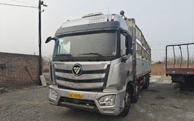 r207797-foton-auman-est-2021_1