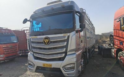 r207828-foton-auman-est-2024_1