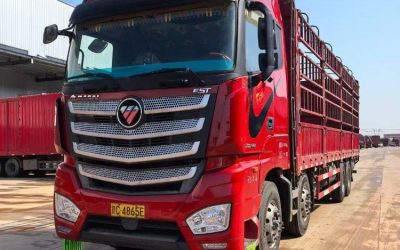 r207848-foton-auman-est-2021_1