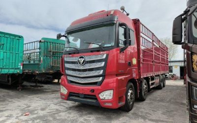 r207855-foton-auman-est-2020_1
