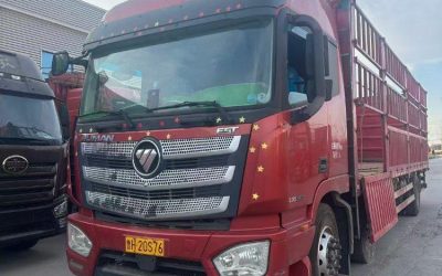 r207881-foton-auman-est-2023_1