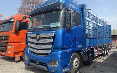 r207887-foton-auman-est-2022_1