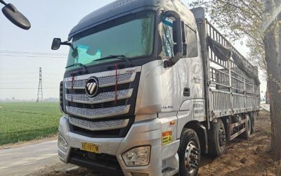 r207889-foton-auman-est-2022_1