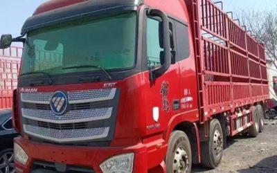 r207902-foton-auman-est-2019_1