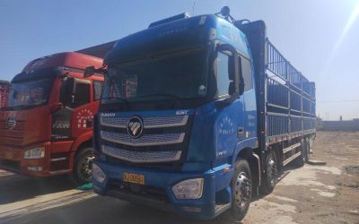 r207911-foton-auman-est-2021_1