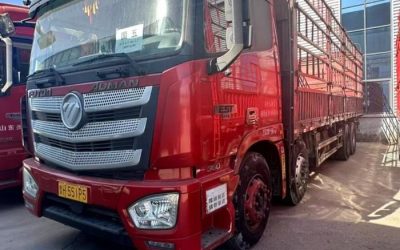 r207917-foton-auman-est-2018_1