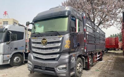 r207934-foton-auman-est-2023_1