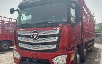 r207938-foton-auman-est-2020_1