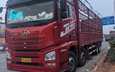 r208898-jiefang-jh6-2021_1