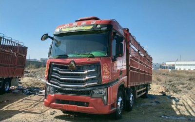 r212532-howo-max-2022_1