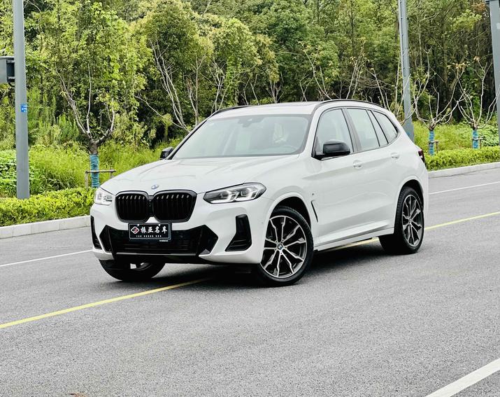 r1019084-bmw-x3-2022_0