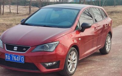 r1019330-seat-ibiza-2013_0