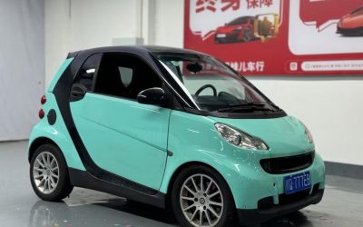 r1019376-smart-fortwo-2010_0