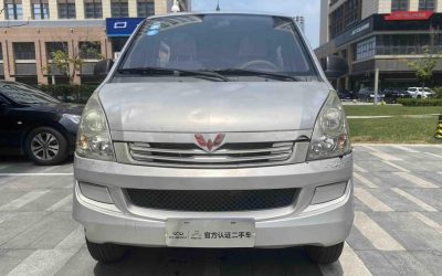 r1019382-wuling-rongguang-2016_0