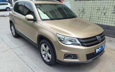 r1019425-volkswagen-tiguan-2013_0